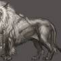lion.jpg